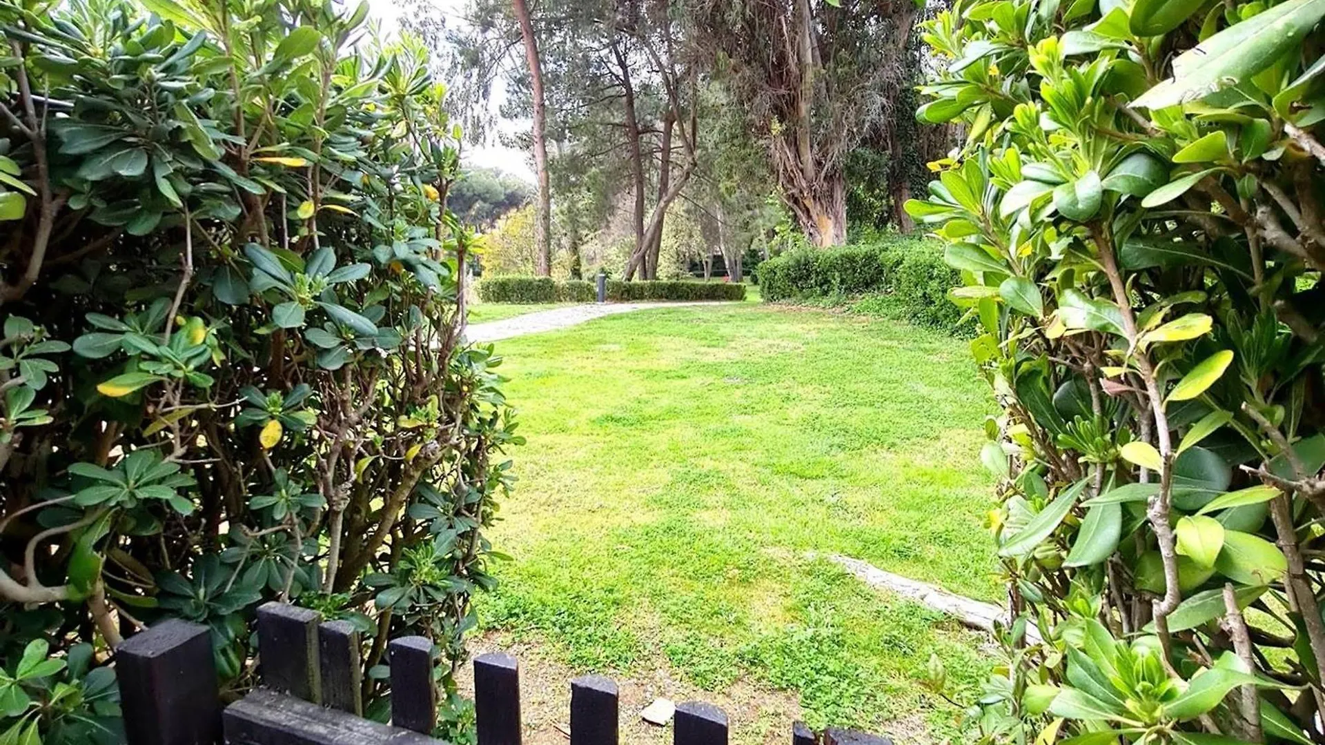 סיס-פור-לה-פלאז' Maison T3 Climatisee Avec Jardin, Piscine, Tennis, Parking Prive, A 200M Des Plages Et Commerces - Fr-1-316-40 צרפת